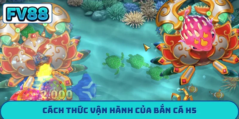 Bắn Cá H5 - 10 Phút Đổi Đời Cùng Kho Báu Dưới Đáy Biển Cách thức vận hành của bắn cá h5